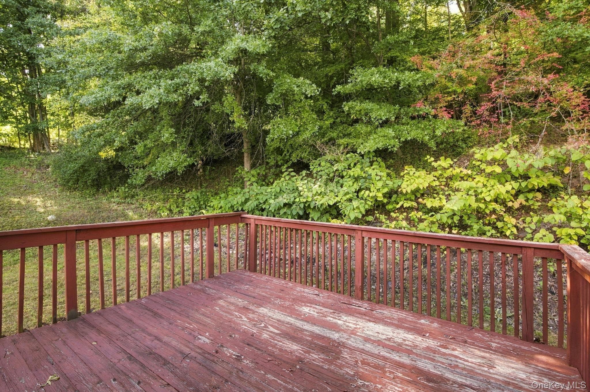 49 Brewster Drive thumbnail 33