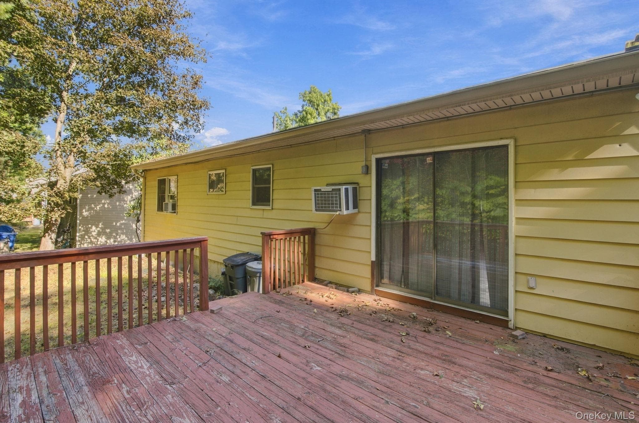 49 Brewster Drive thumbnail 31