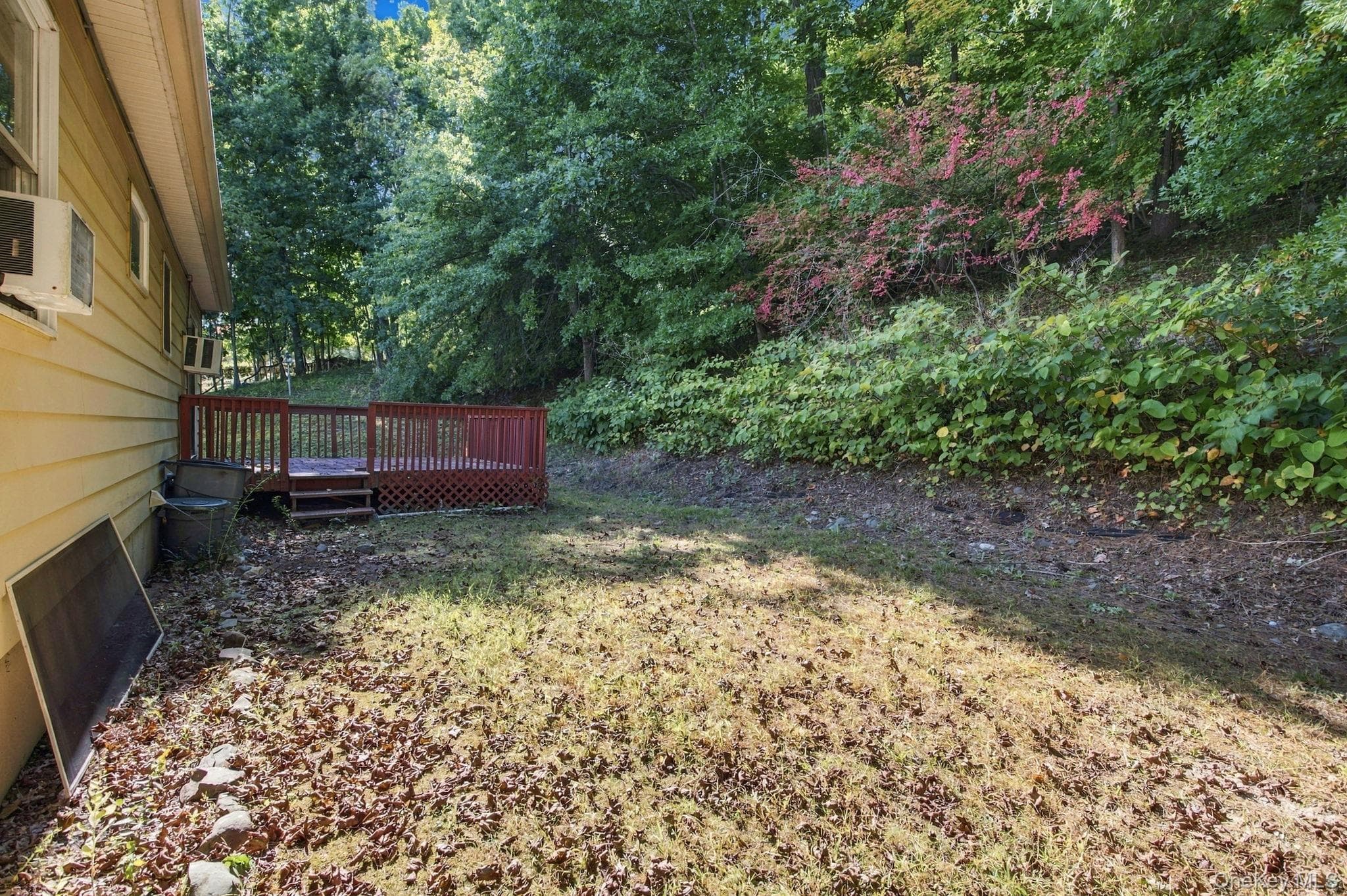 49 Brewster Drive thumbnail 30