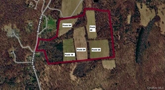 513 Rossway Road thumbnail 17