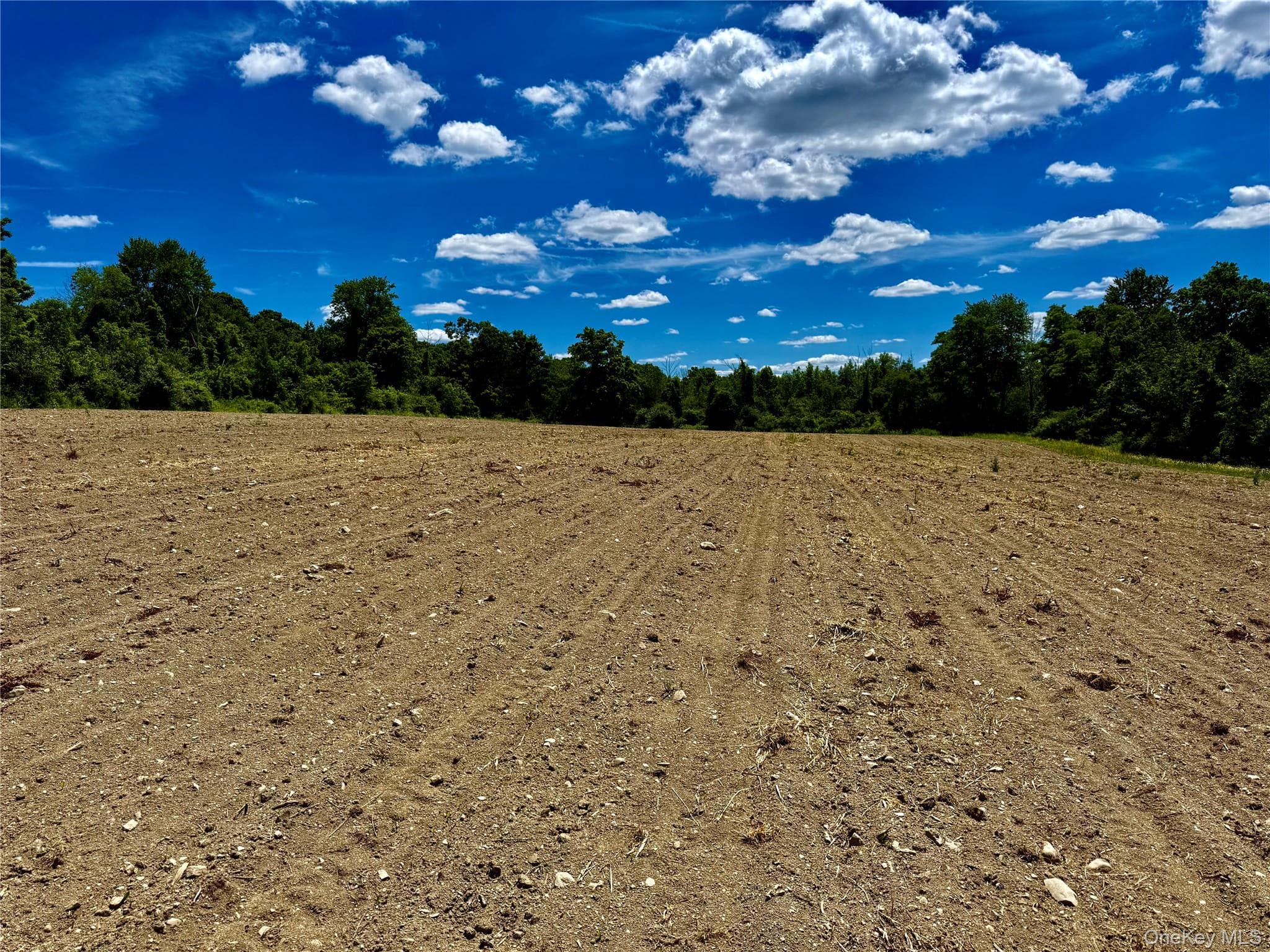 513 Rossway Road thumbnail 7