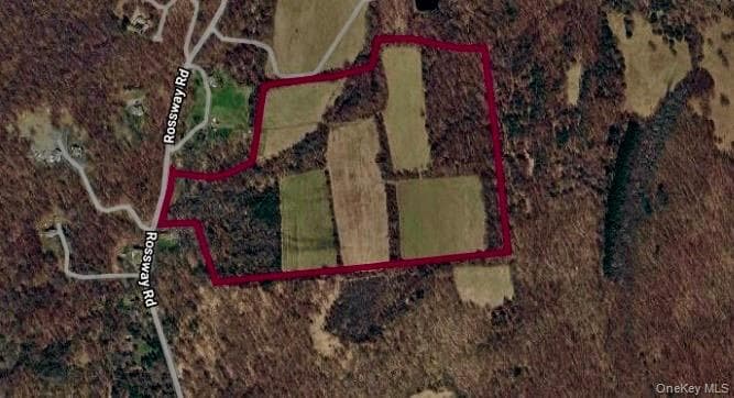 513 Rossway Road thumbnail 16
