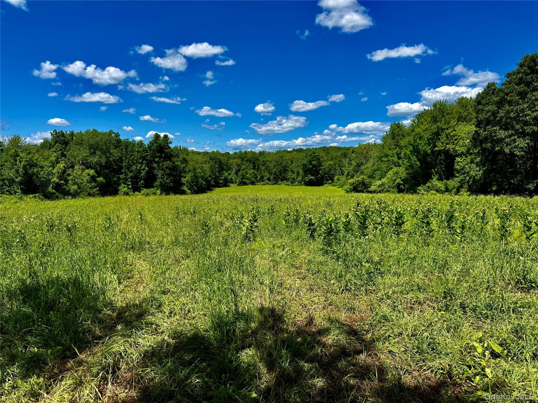 513 Rossway Road thumbnail 12