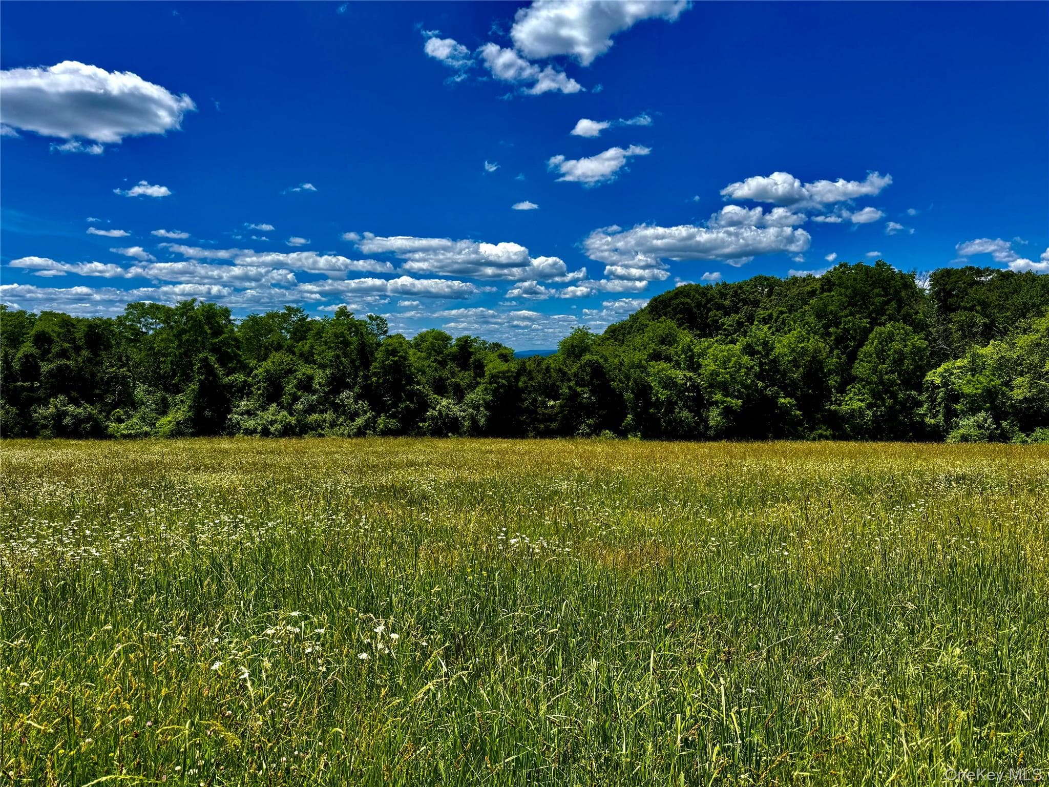 513 Rossway Road thumbnail 6