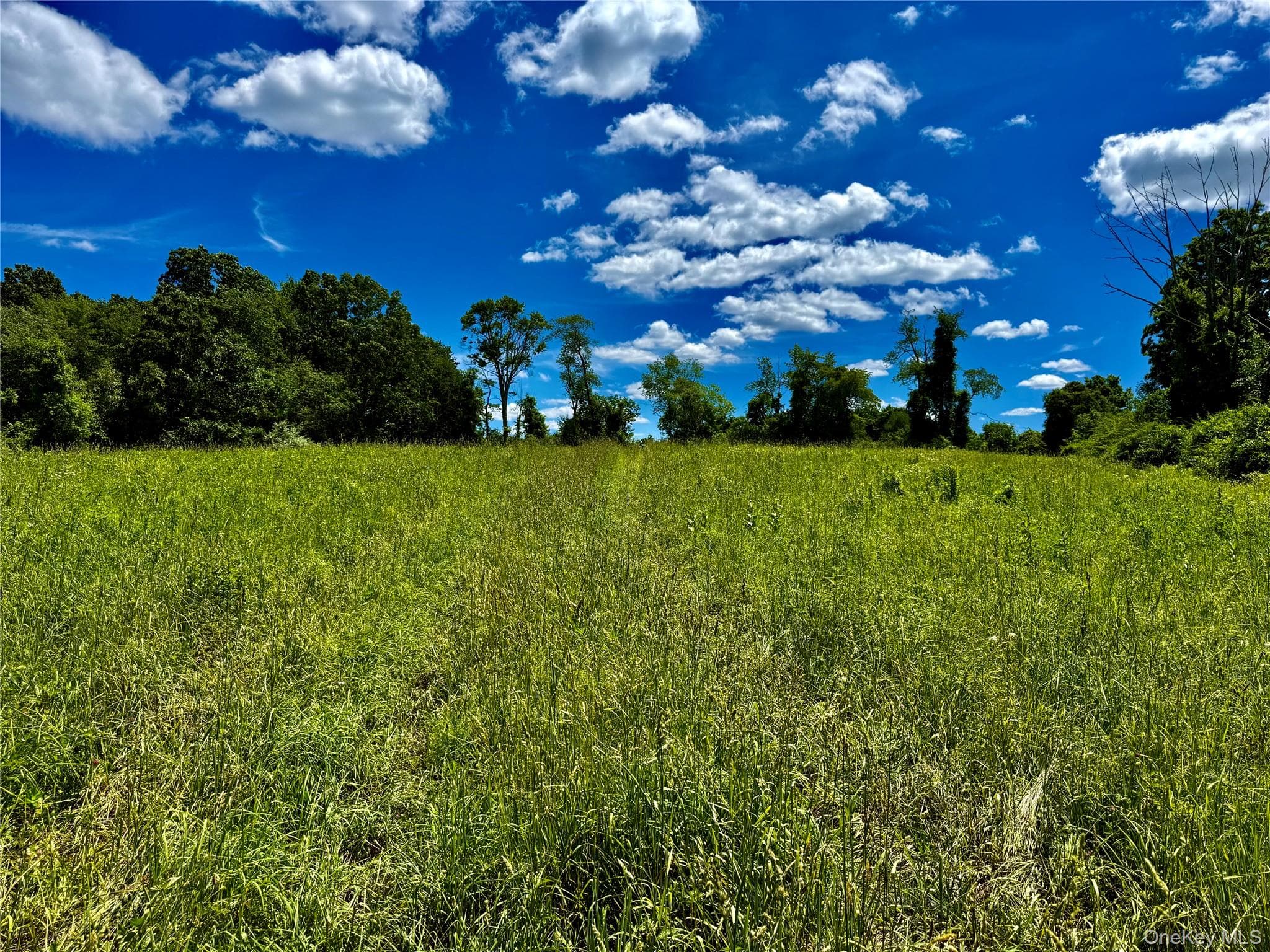 513 Rossway Road thumbnail 13