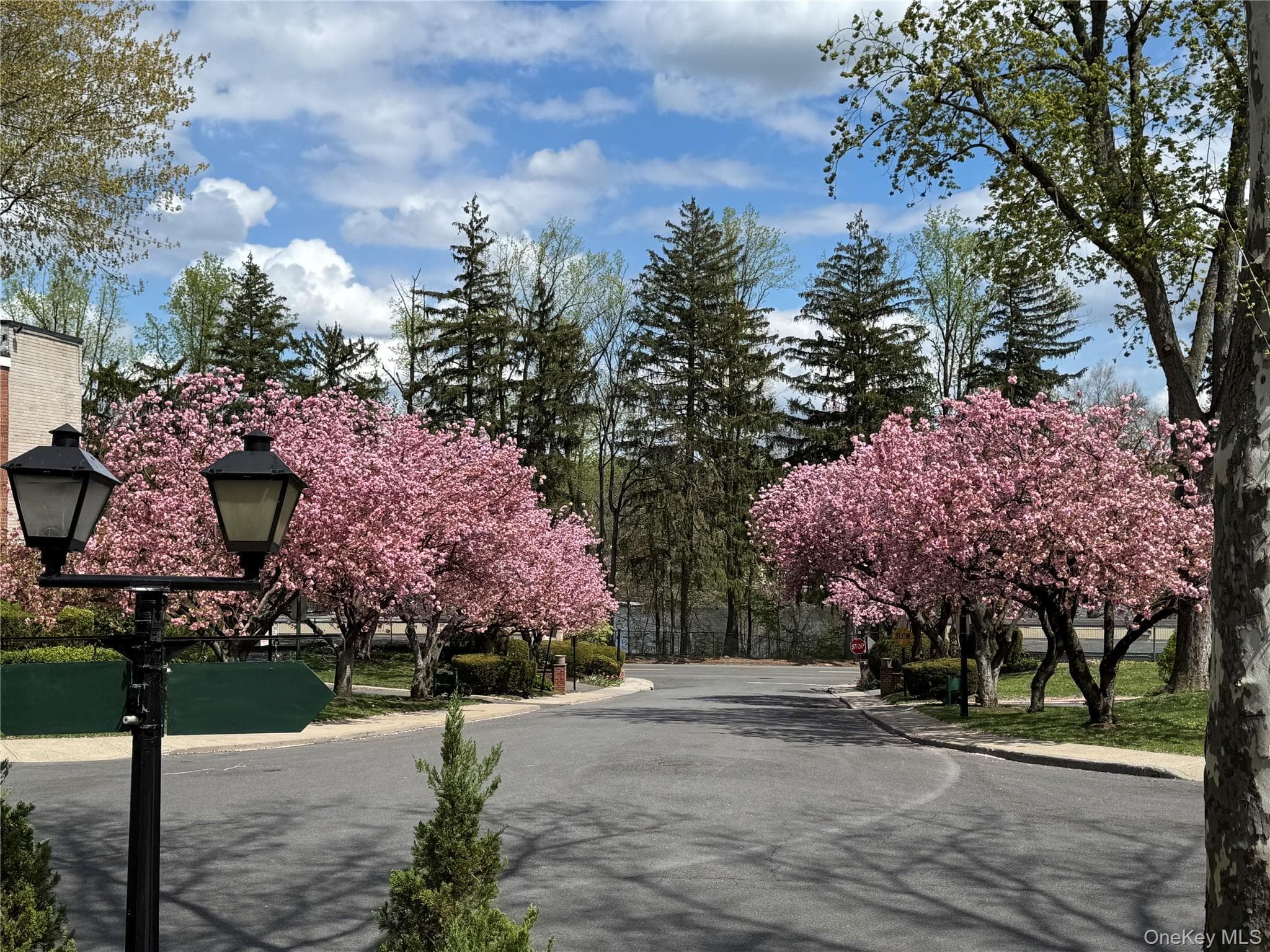 4 Channing Place Unit: 2R thumbnail 2