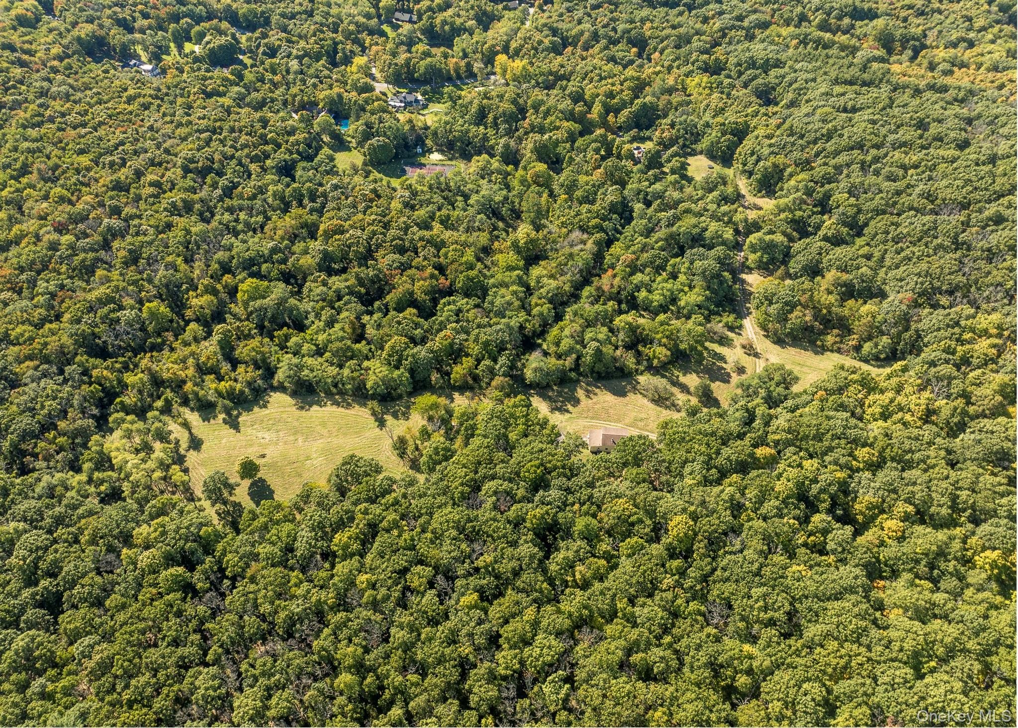 544 Willow Brook Road thumbnail 19