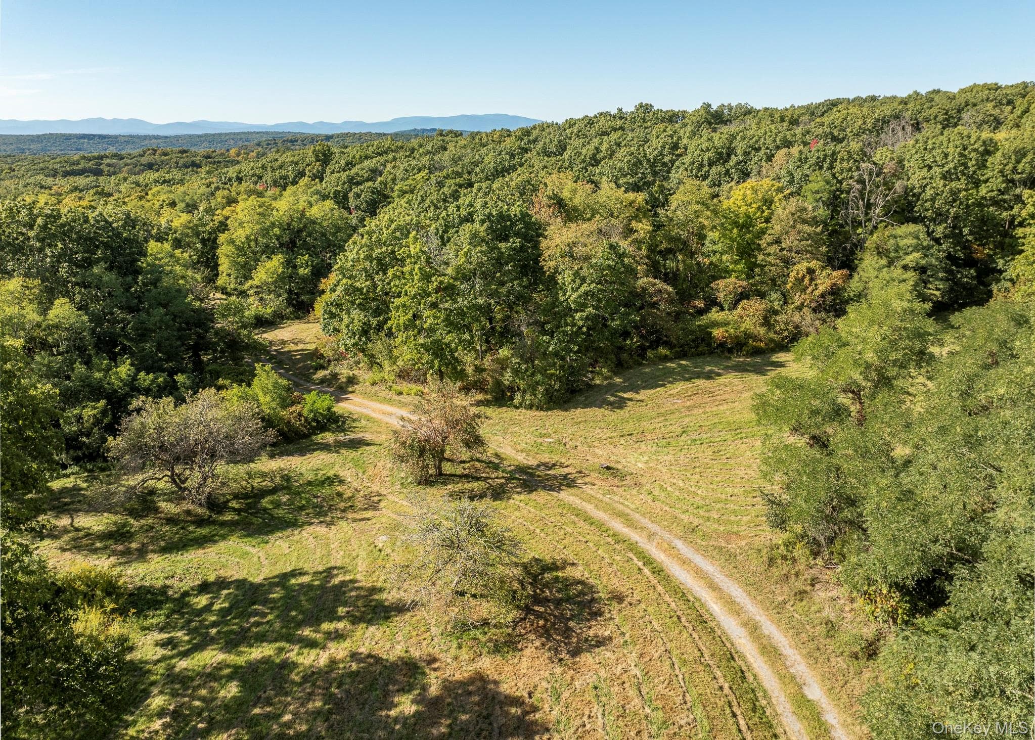 544 Willow Brook Road thumbnail 22