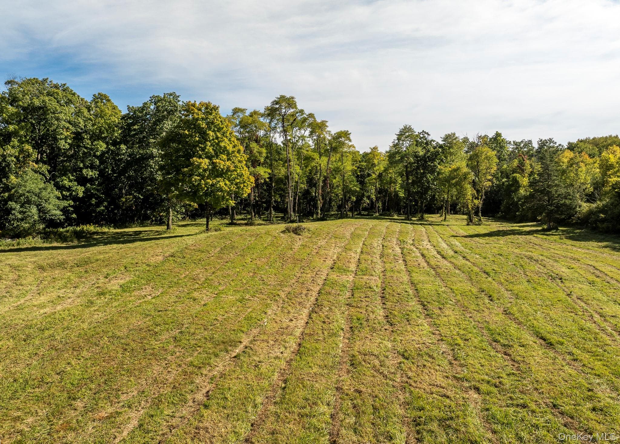 544 Willow Brook Road thumbnail 27