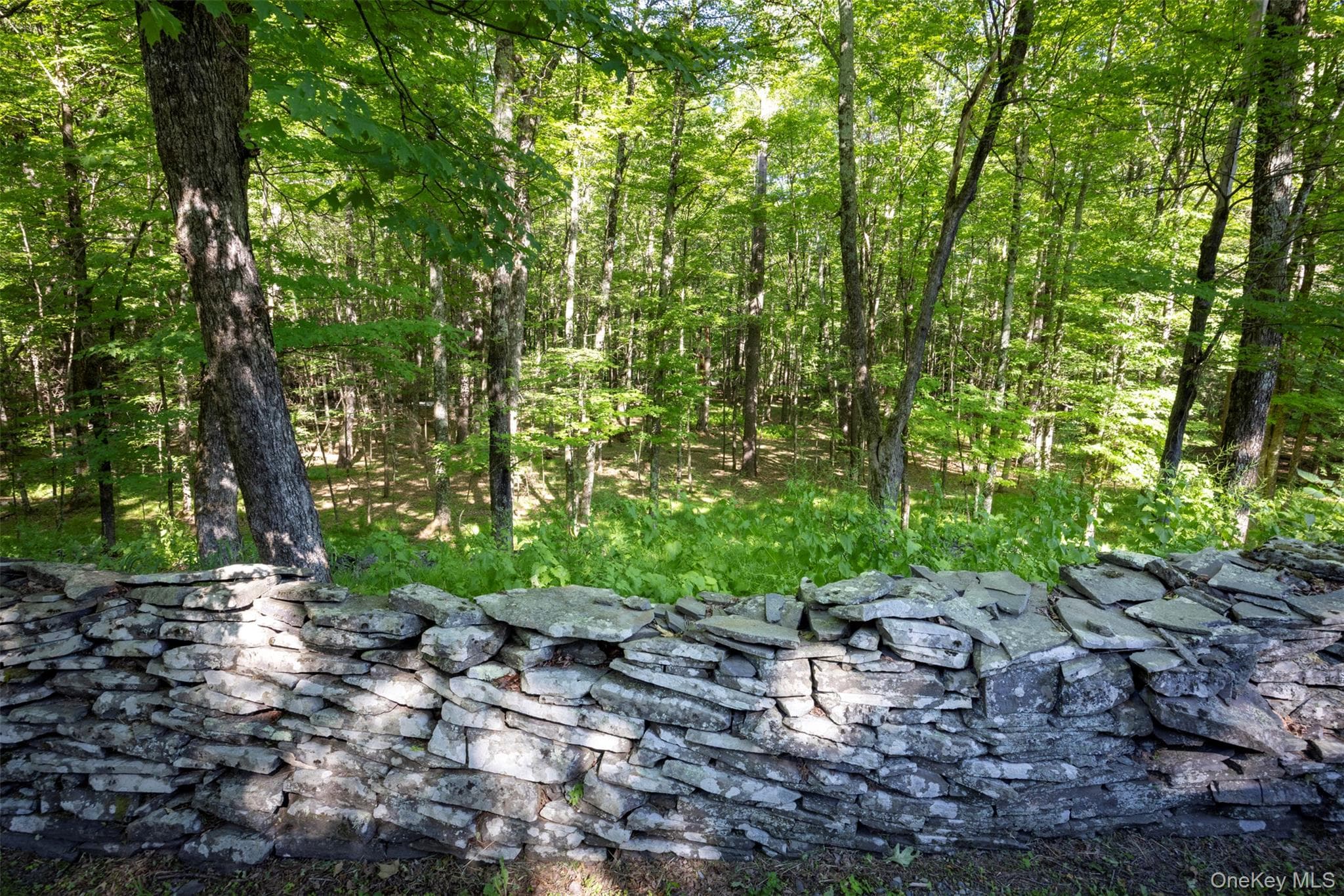 19 Blues Quarry thumbnail 28