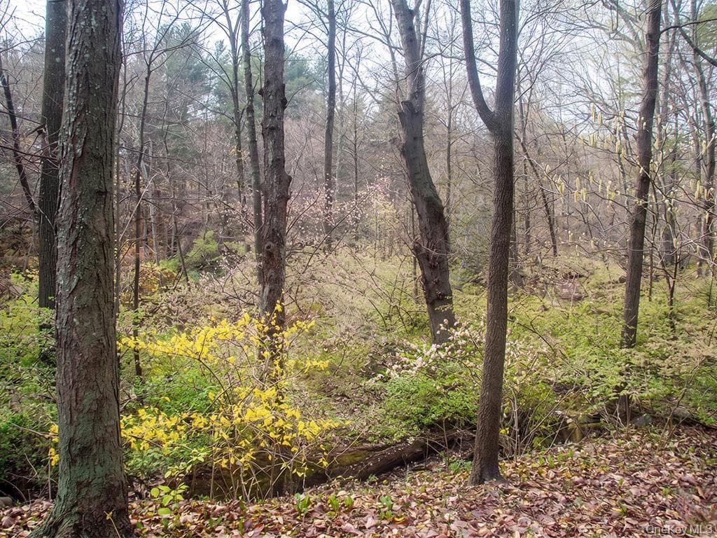 Lot 3 Chapin Trail thumbnail 4