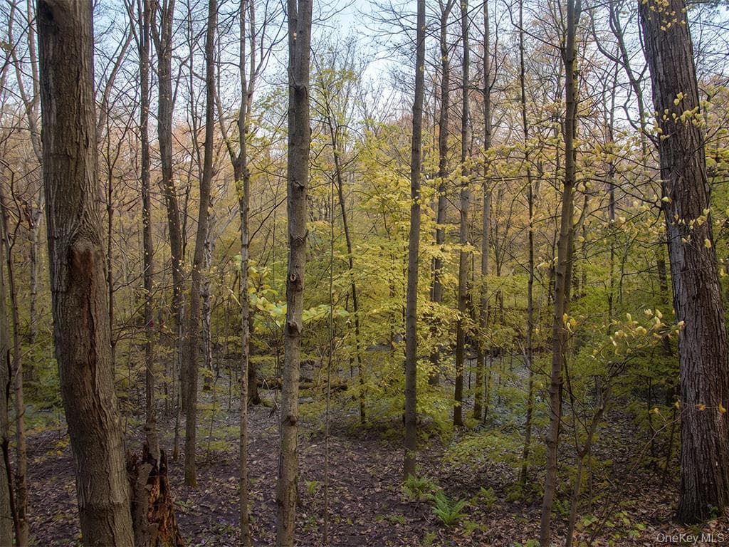 Lot 3 Chapin Trail thumbnail 8