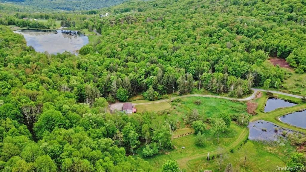 308 William Brown Road thumbnail 6