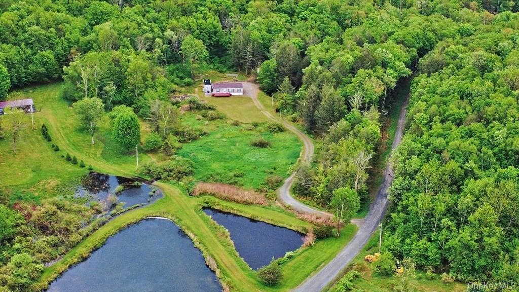 308 William Brown Road thumbnail 32