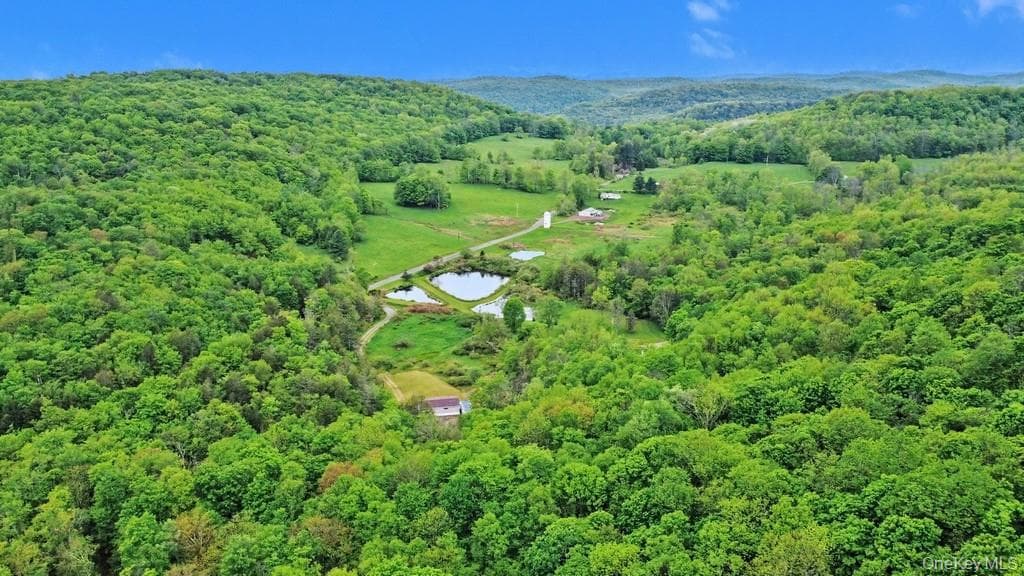 308 William Brown Road thumbnail 33
