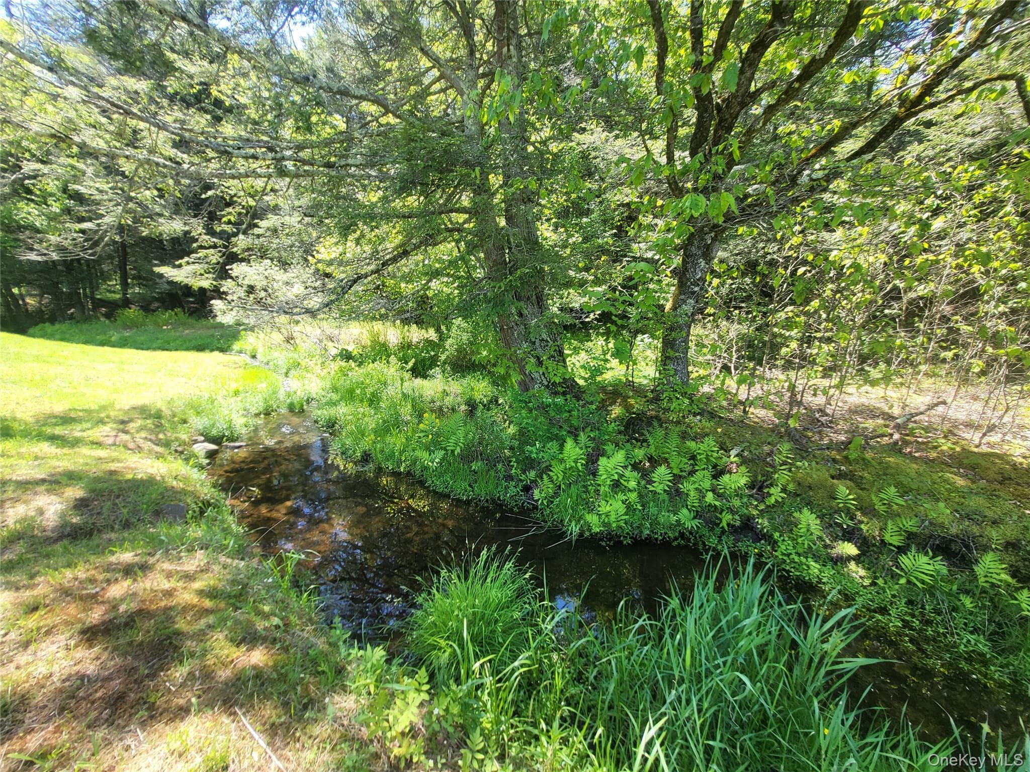 308 William Brown Road thumbnail 30
