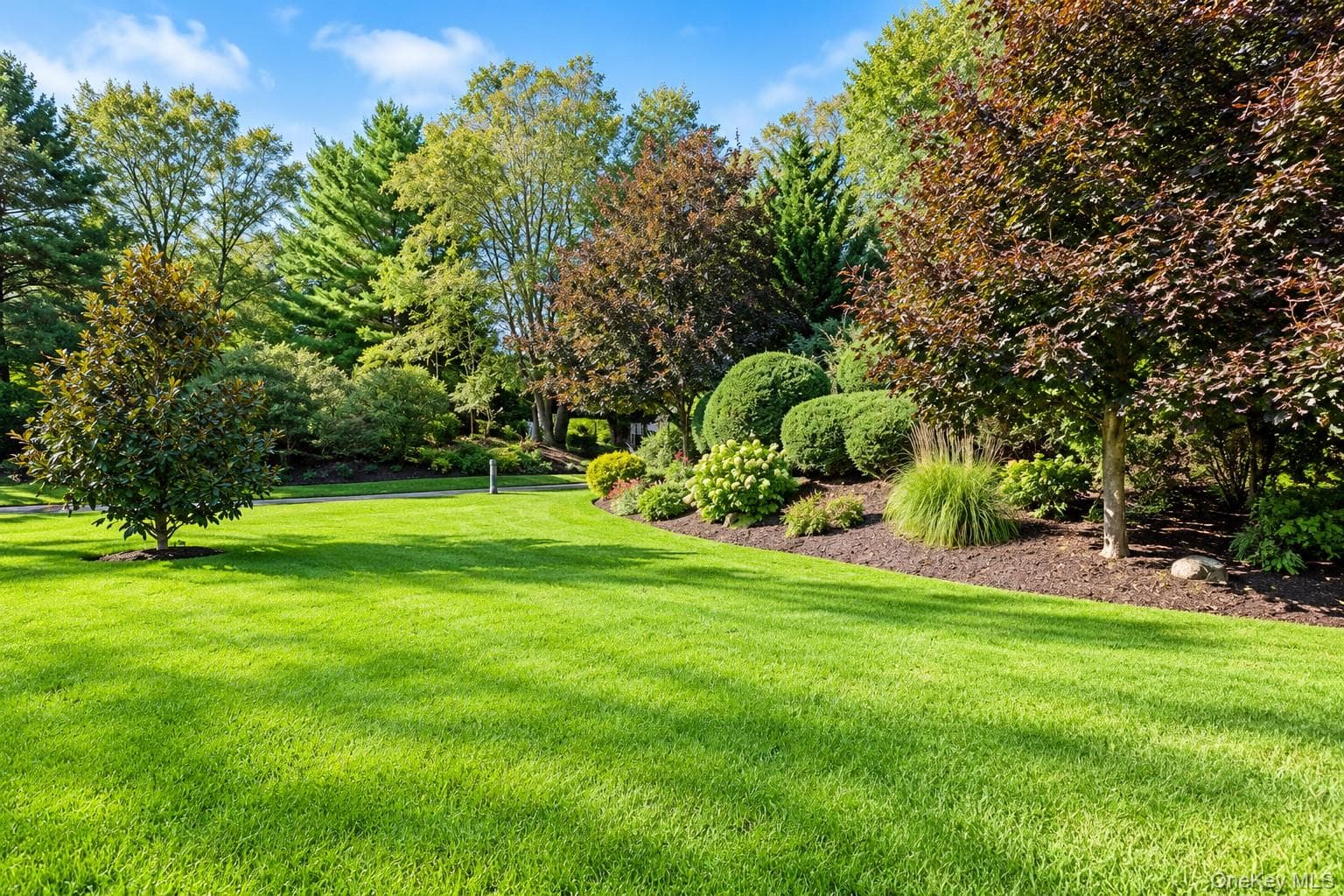 581 Verona Drive thumbnail 20