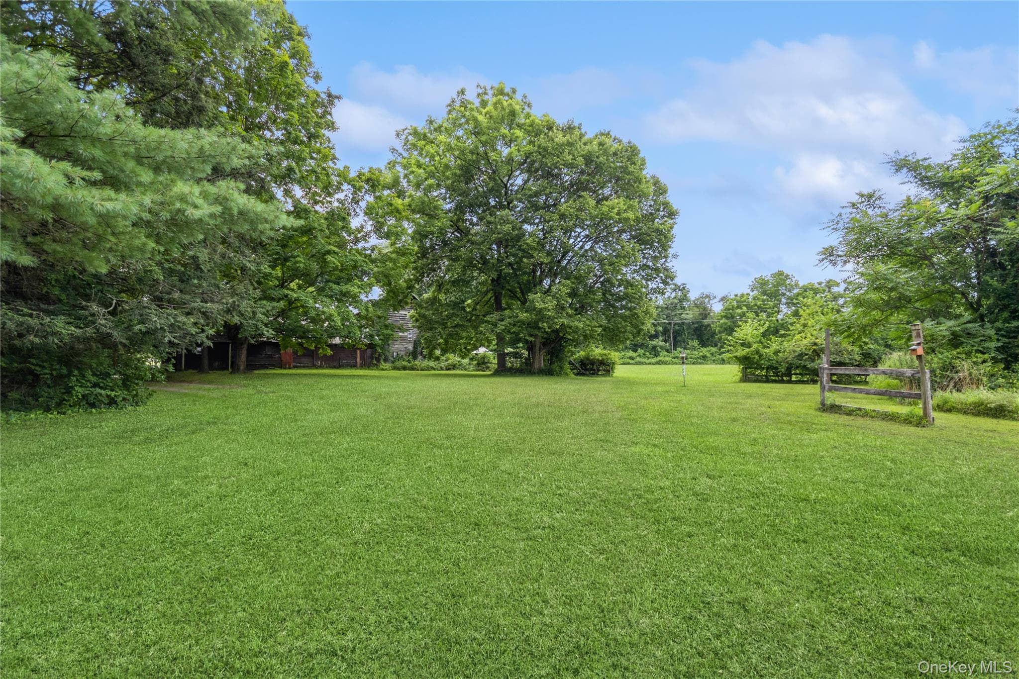 93 Widmer Road thumbnail 39
