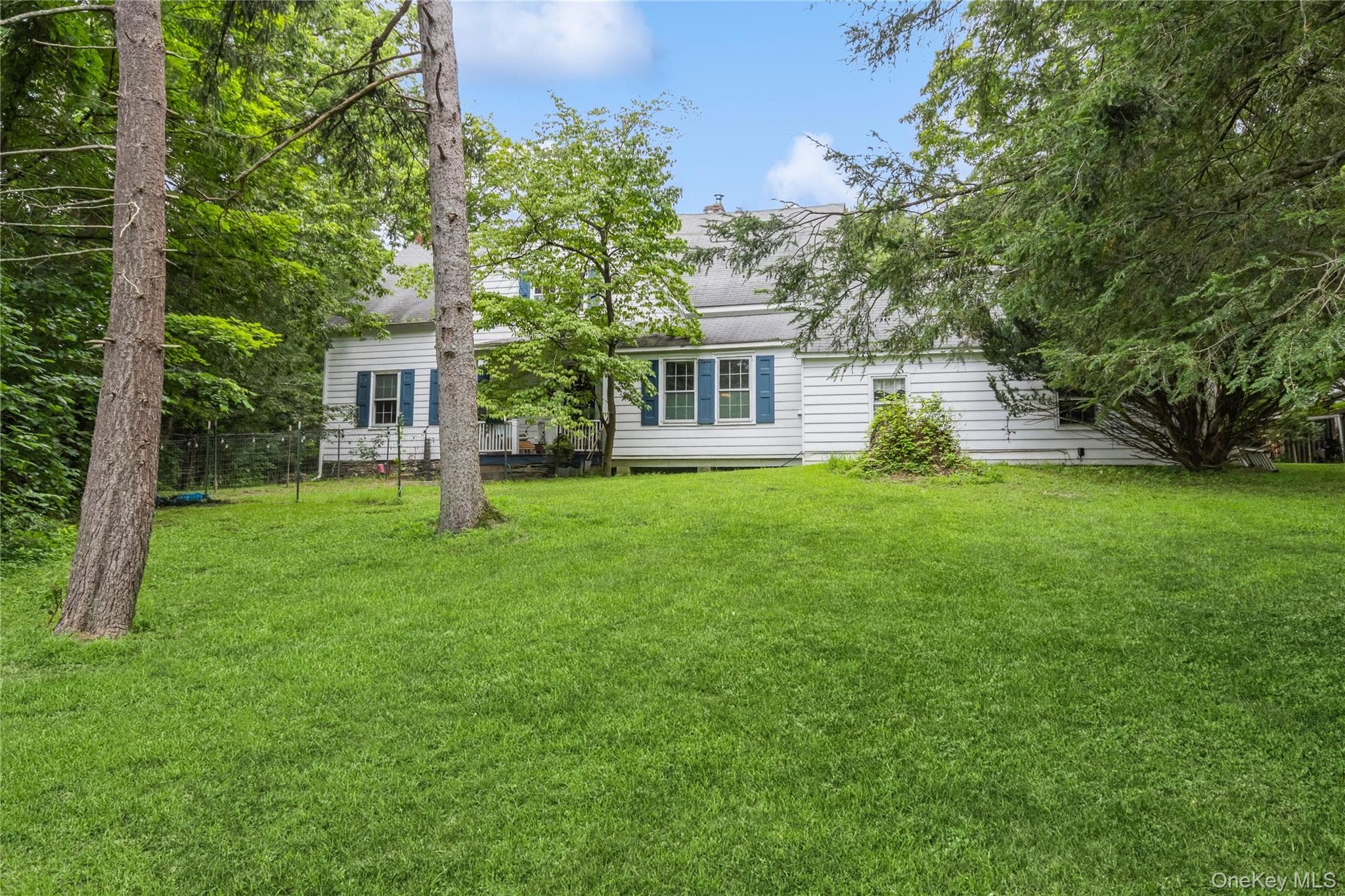 93 Widmer Road thumbnail 4