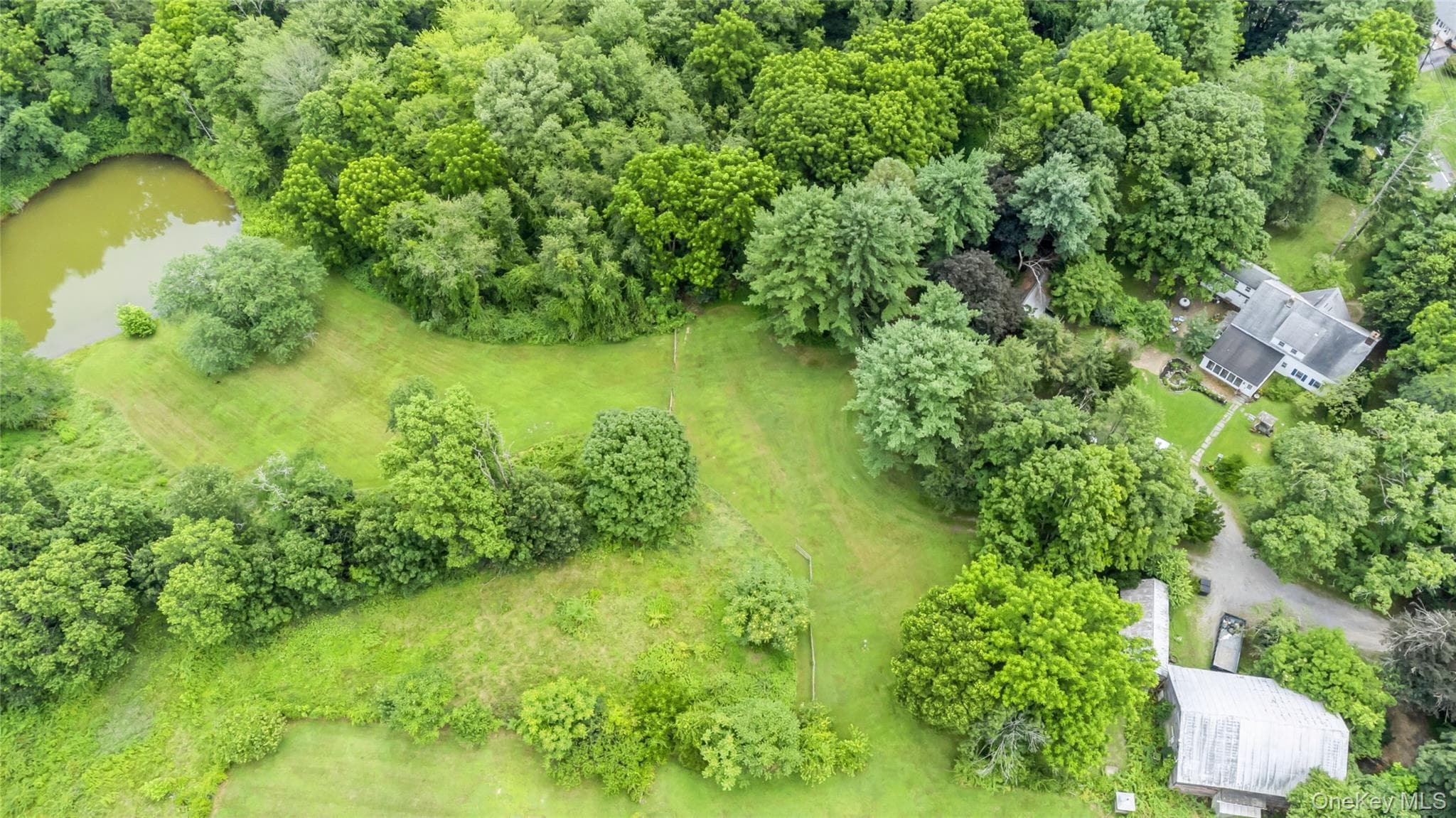 93 Widmer Road thumbnail 2