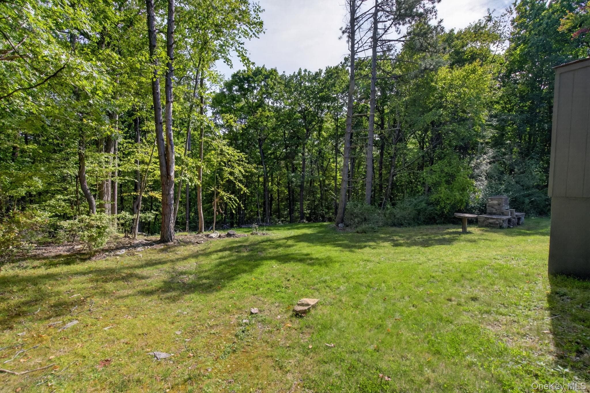 517 E Mountain Road thumbnail 47