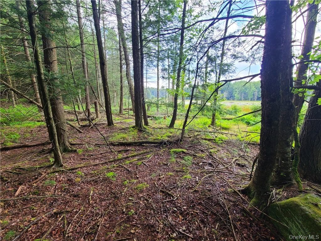 Lot 23 Deer Meadow Road thumbnail 16