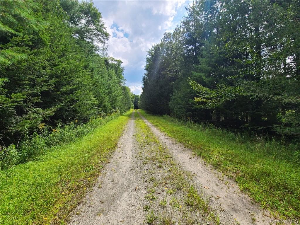 Lot 23 Deer Meadow Road thumbnail 9