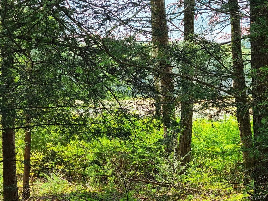 Lot 23 Deer Meadow Road thumbnail 8