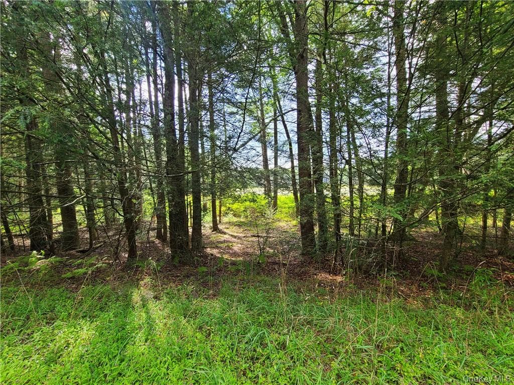 Lot 23 Deer Meadow Road thumbnail 29