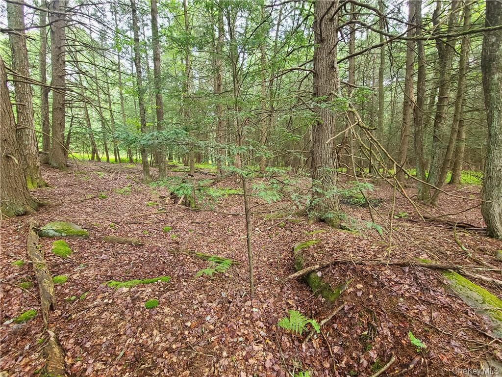 Lot 23 Deer Meadow Road thumbnail 23