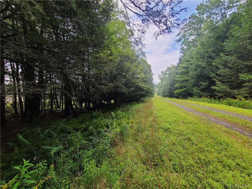 Lot 23 Deer Meadow Road thumbnail 22