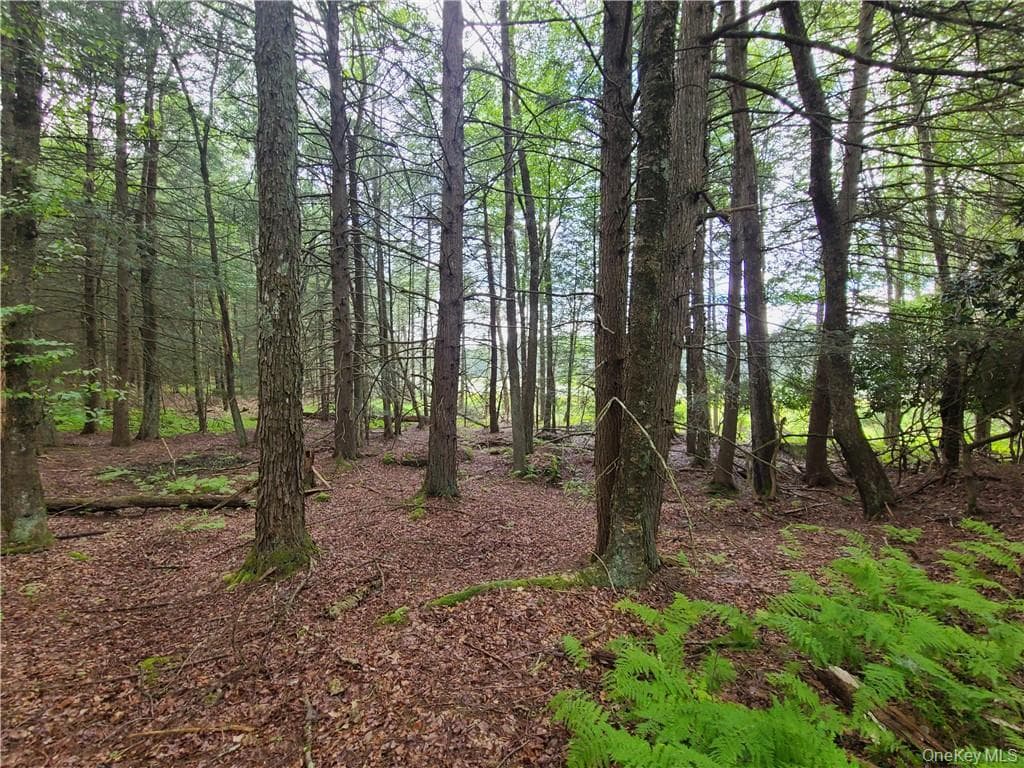 Lot 23 Deer Meadow Road thumbnail 17