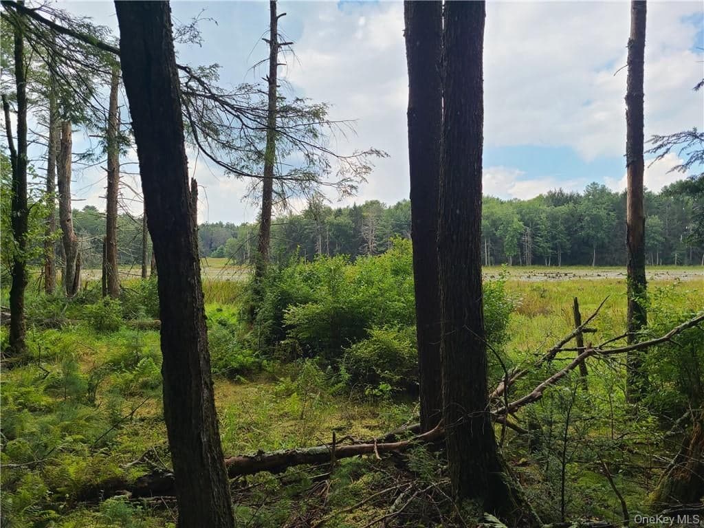 Lot 23 Deer Meadow Road thumbnail 6