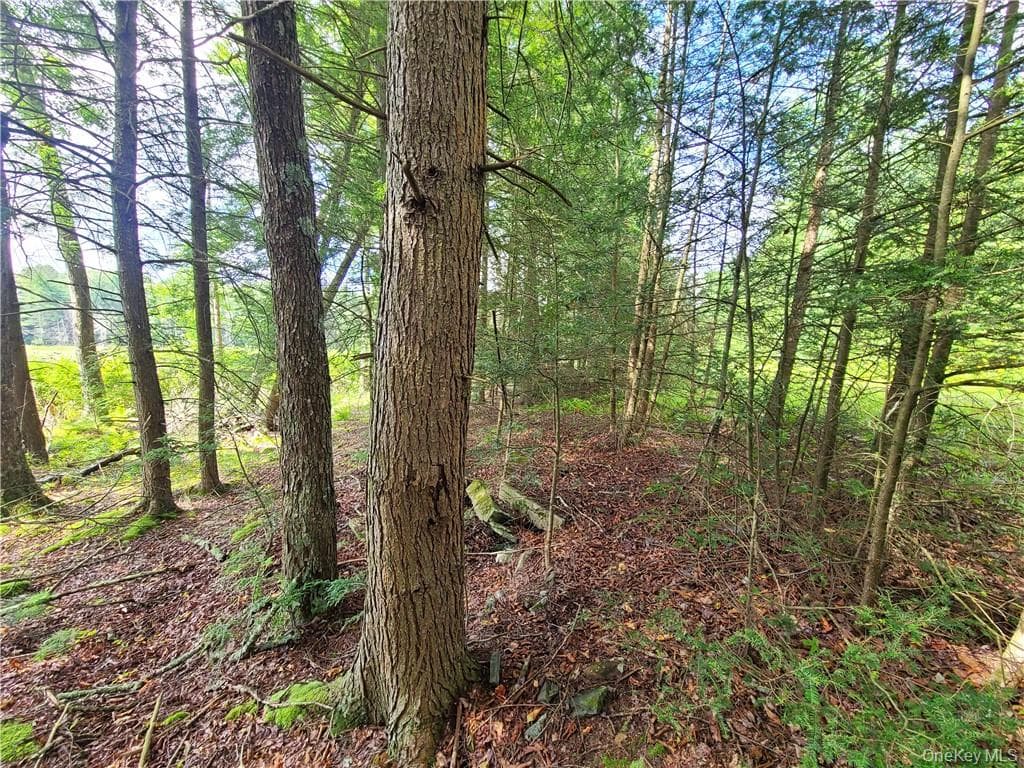 Lot 23 Deer Meadow Road thumbnail 27