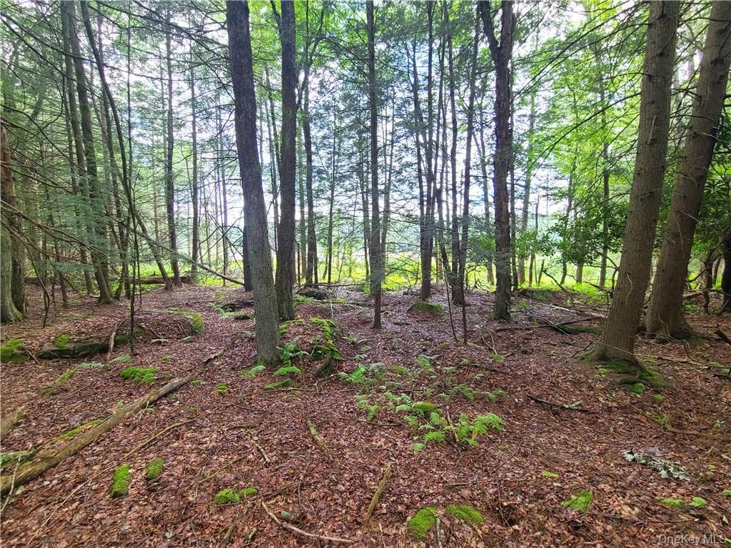 Lot 23 Deer Meadow Road thumbnail 7