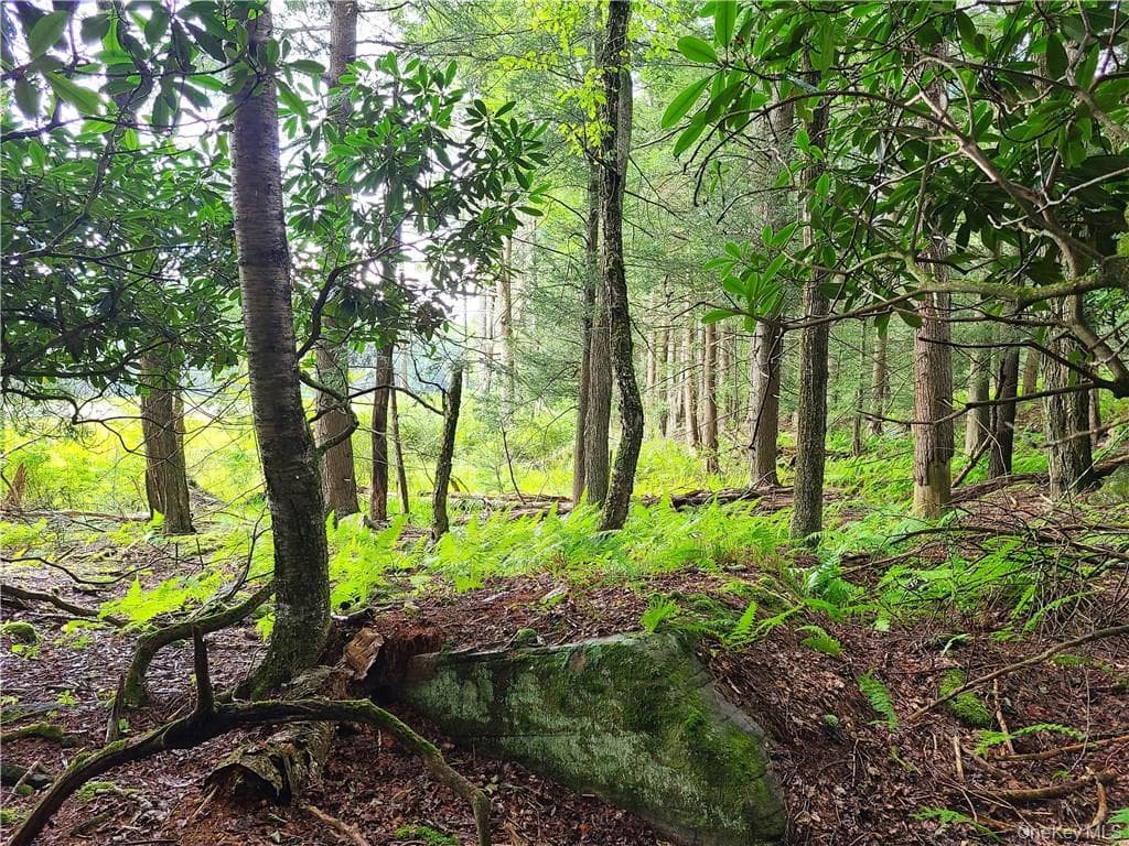 Lot 23 Deer Meadow Road thumbnail 15