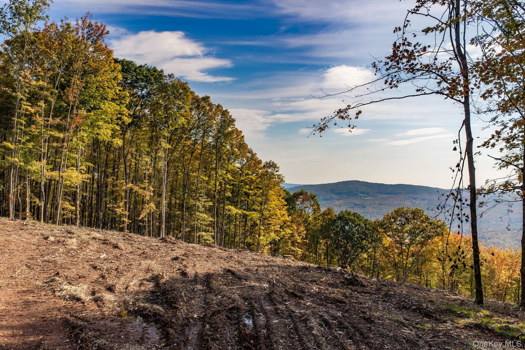 114 Skyline Drive thumbnail 4