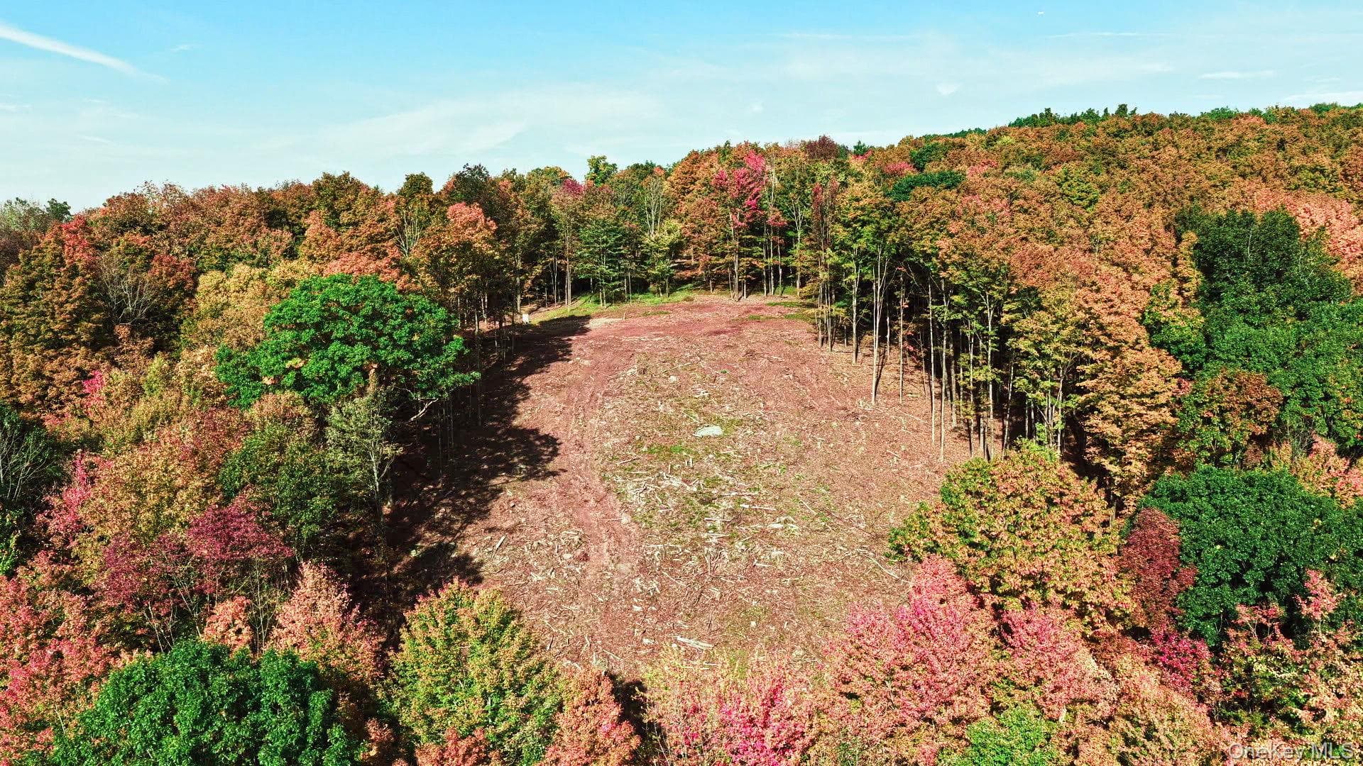 114 Skyline Drive thumbnail 3