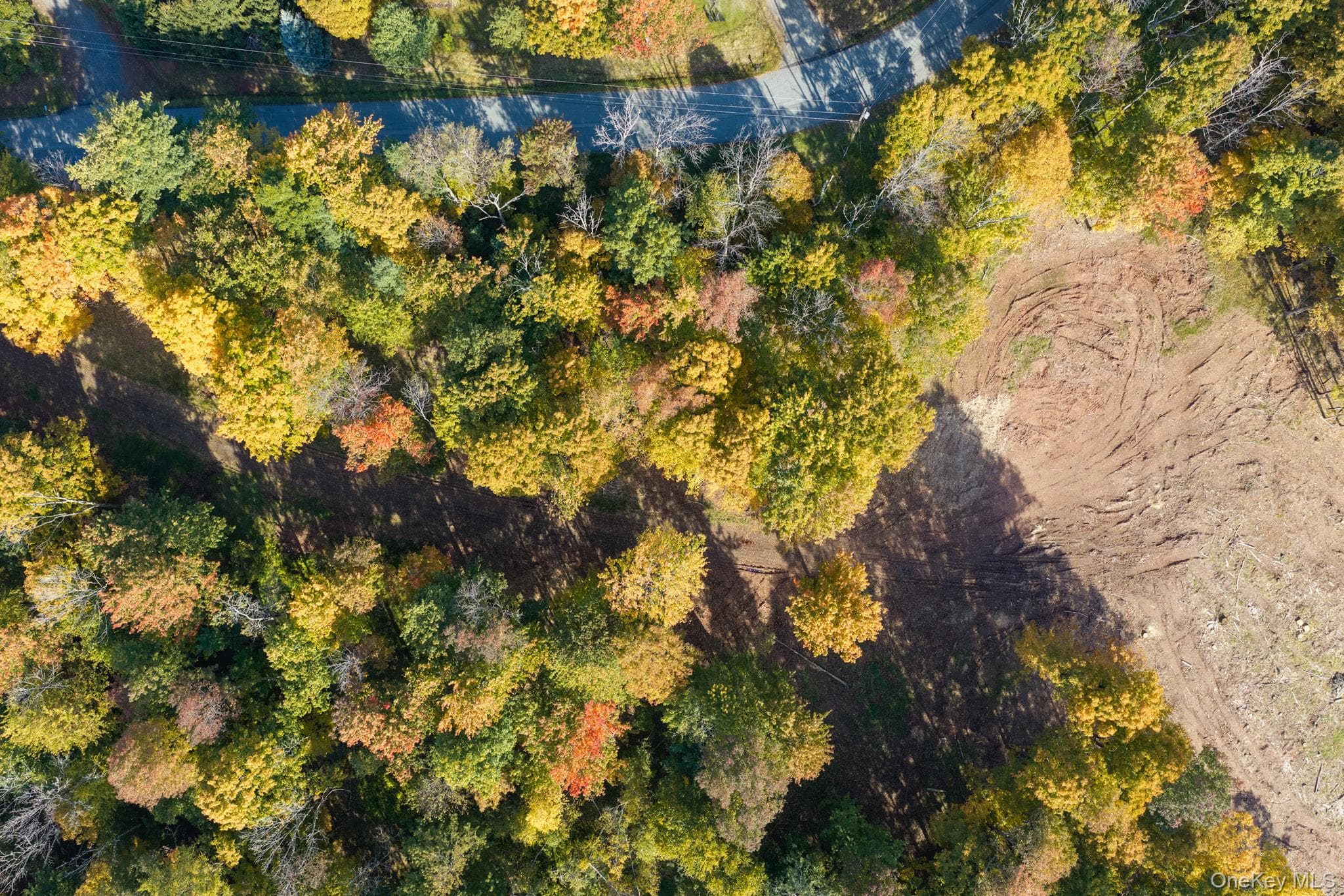 114 Skyline Drive thumbnail 15