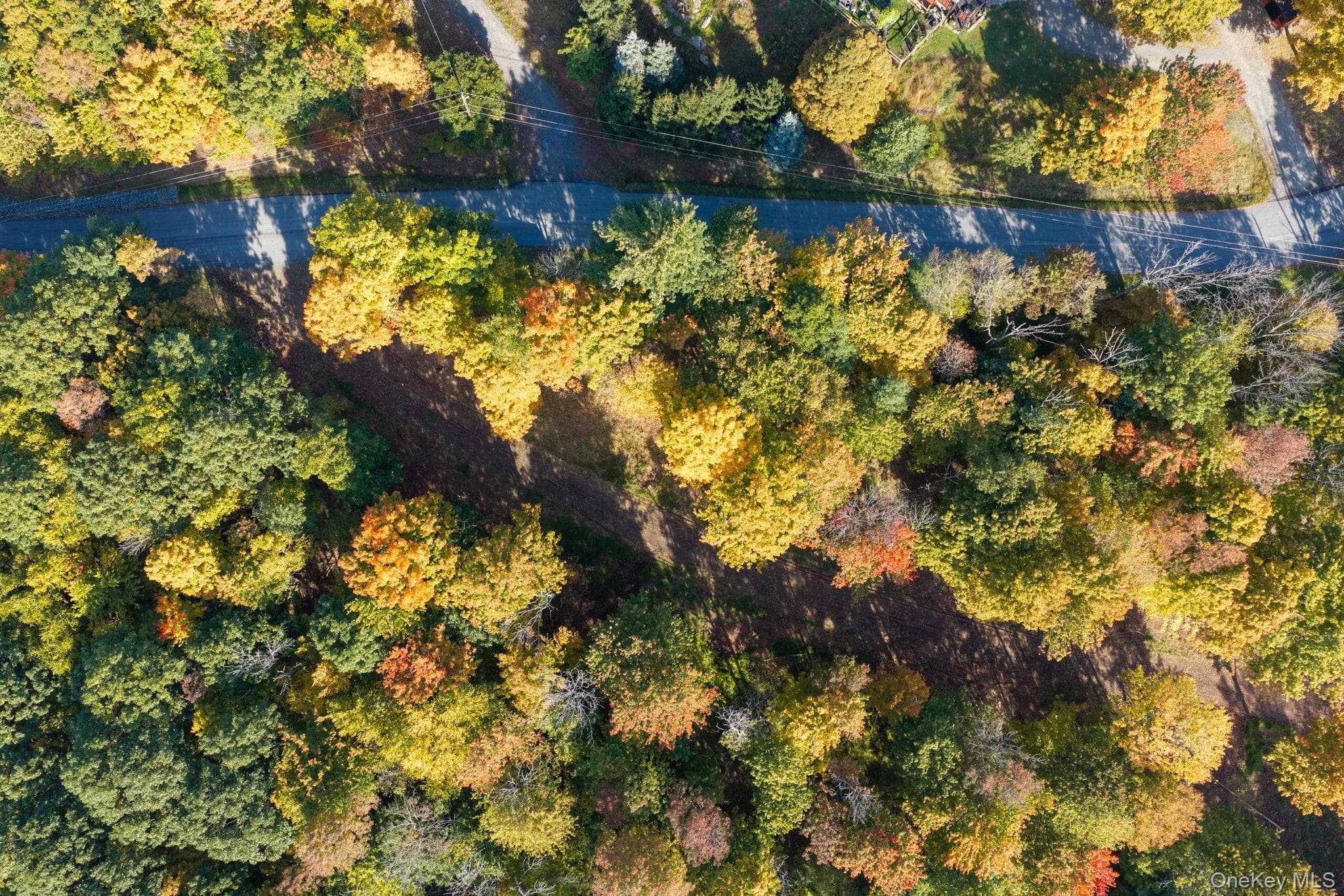 114 Skyline Drive thumbnail 16