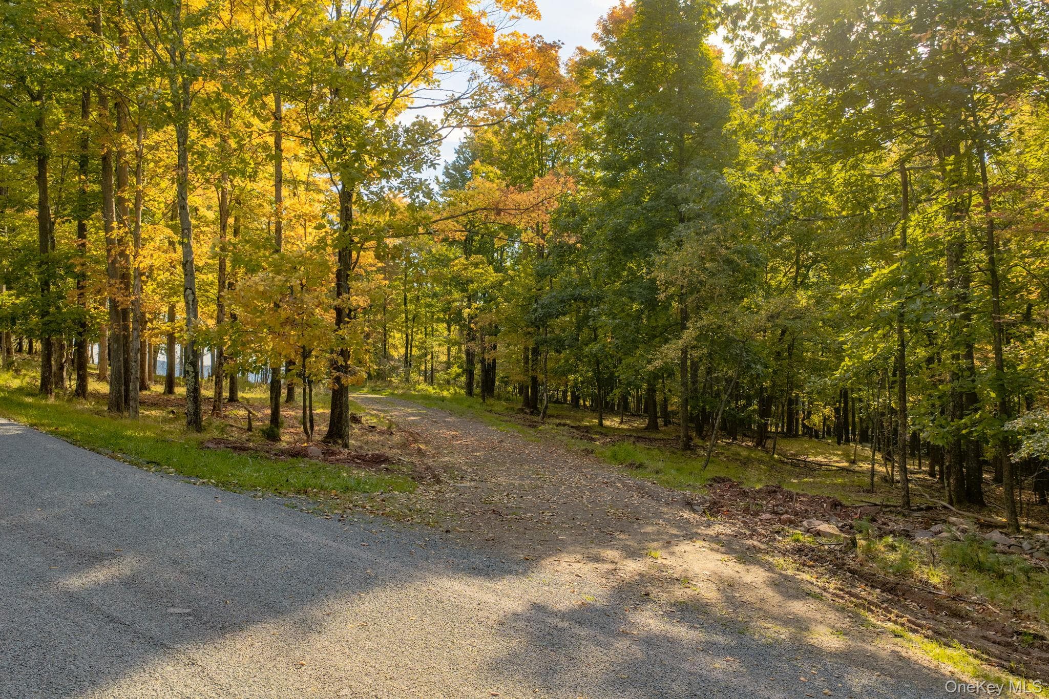 114 Skyline Drive thumbnail 7