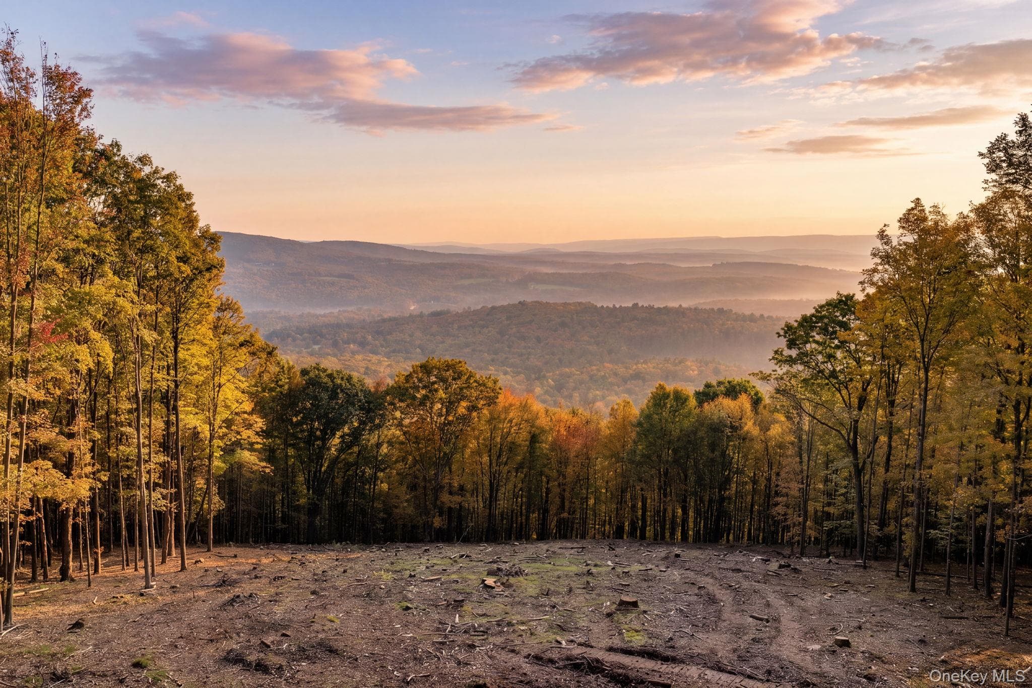 114 Skyline Drive, Neversink
