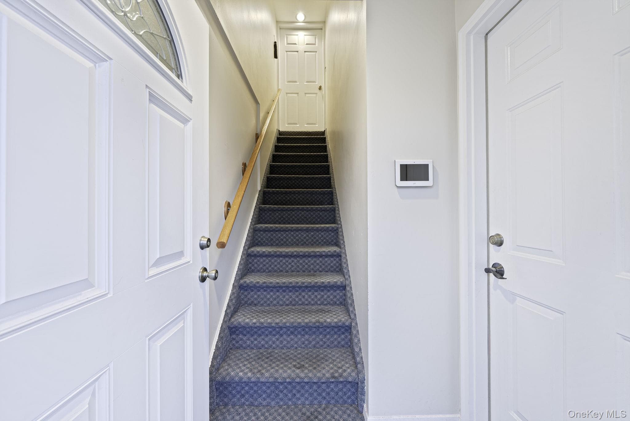 9 Cortelyou Street thumbnail 29