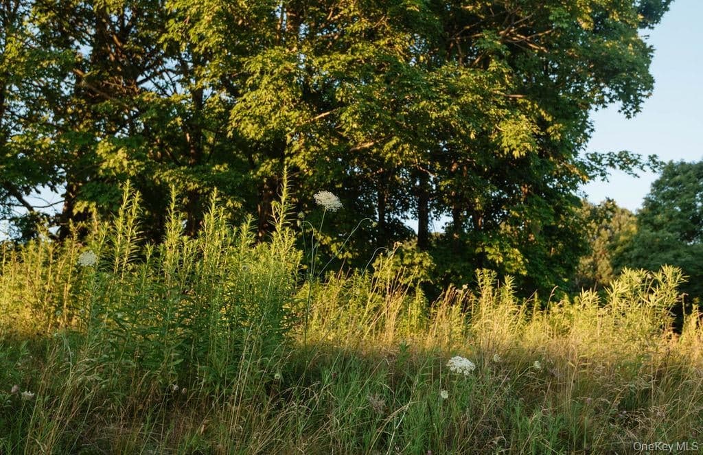 1275 Boston Corners Road thumbnail 12