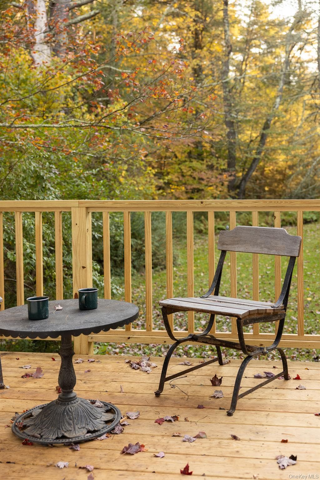 433 County Road 116 thumbnail 42