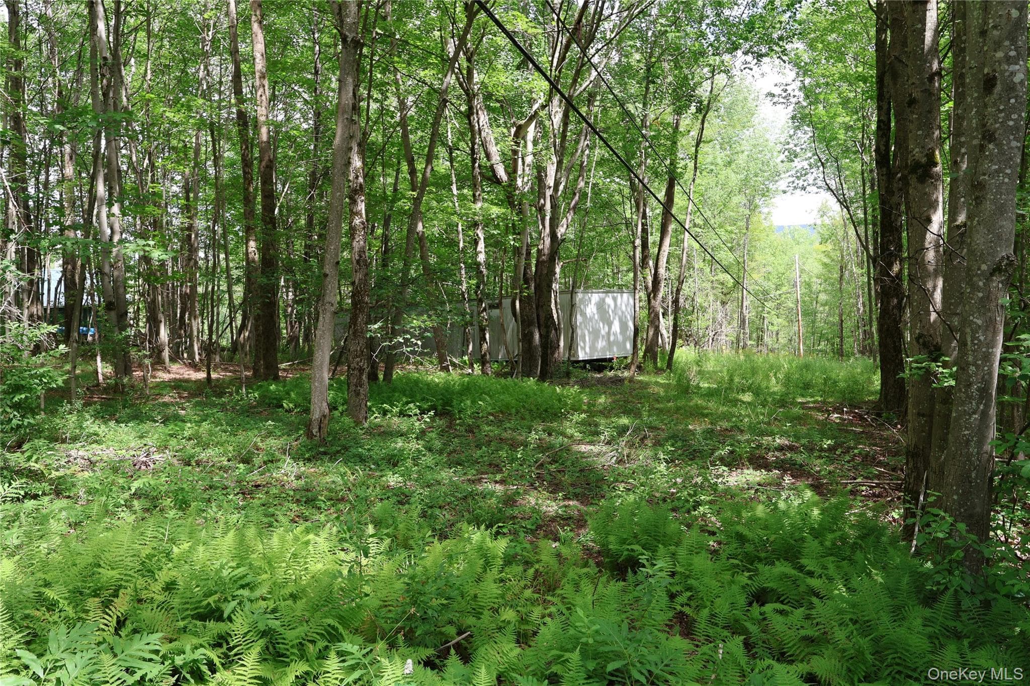 7401 Millbrook Road thumbnail 2