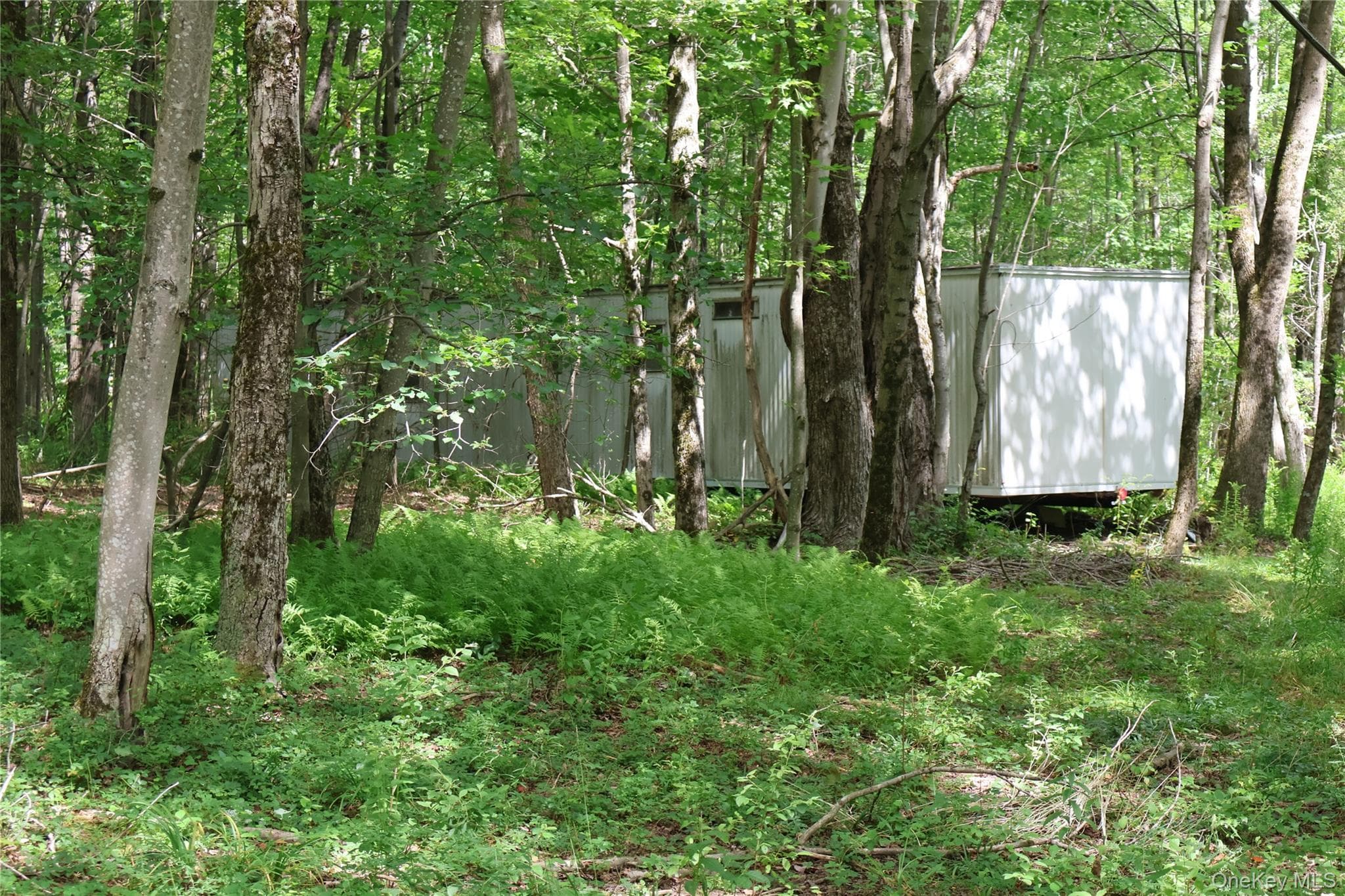 7401 Millbrook Road thumbnail 3