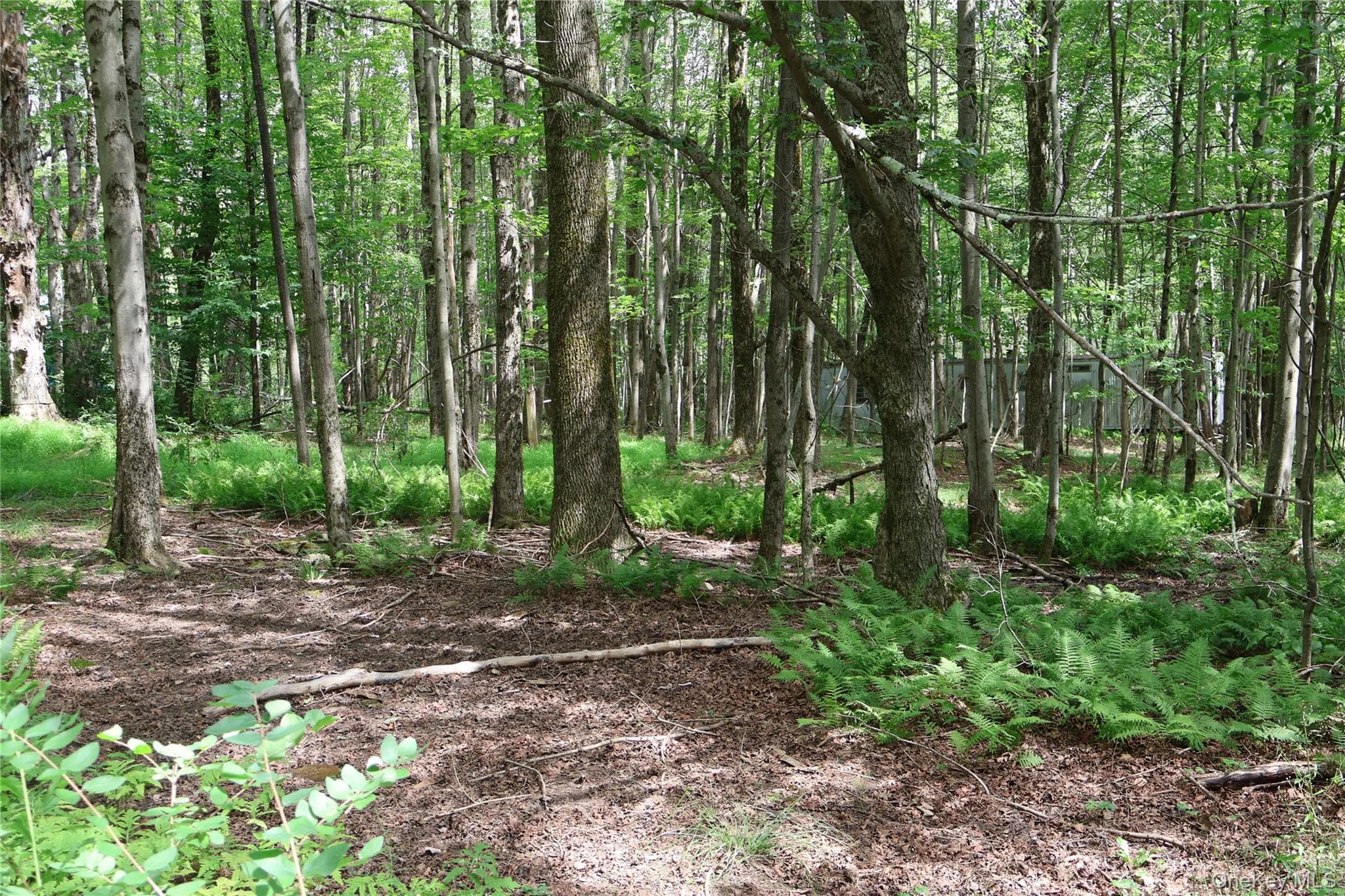 7401 Millbrook Road thumbnail 4