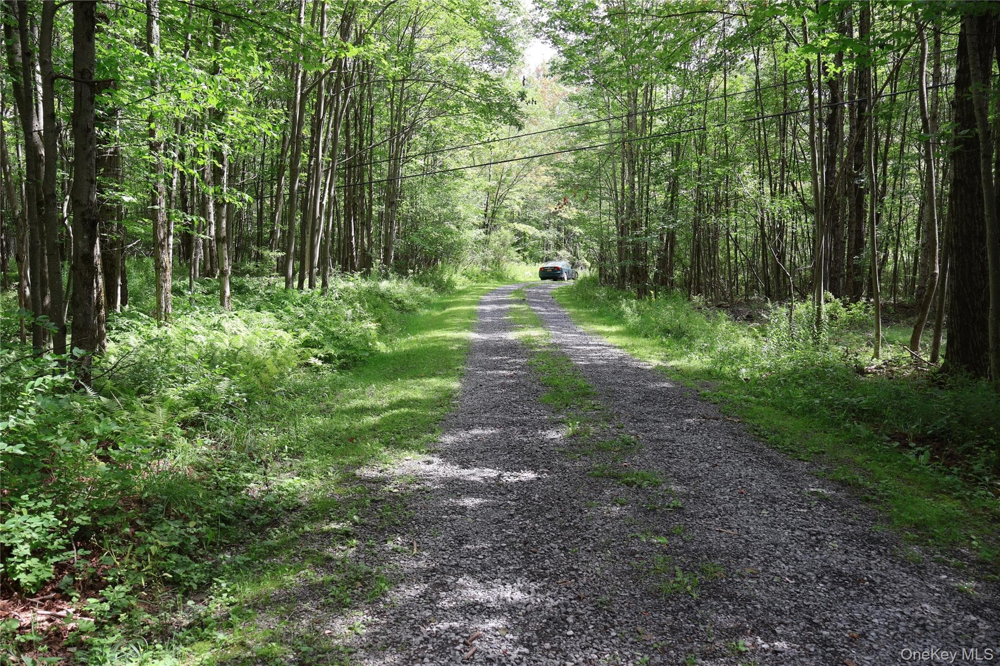 7401 Millbrook Road thumbnail 5