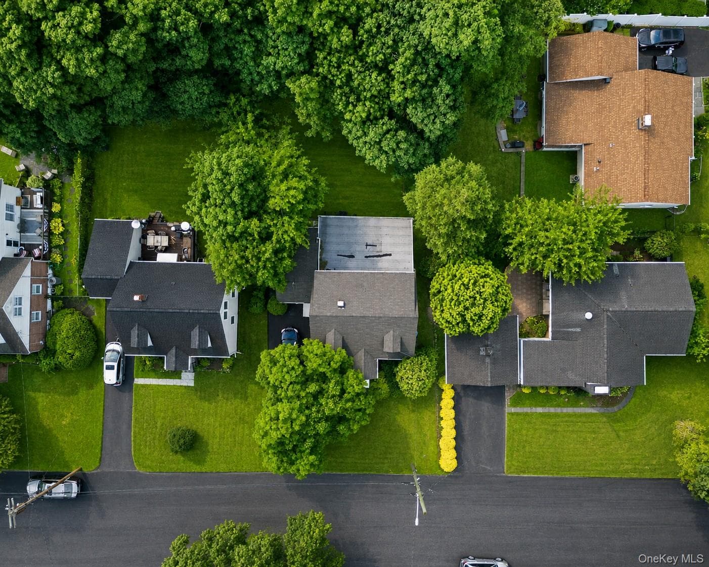 24 Maywood Avenue thumbnail 4